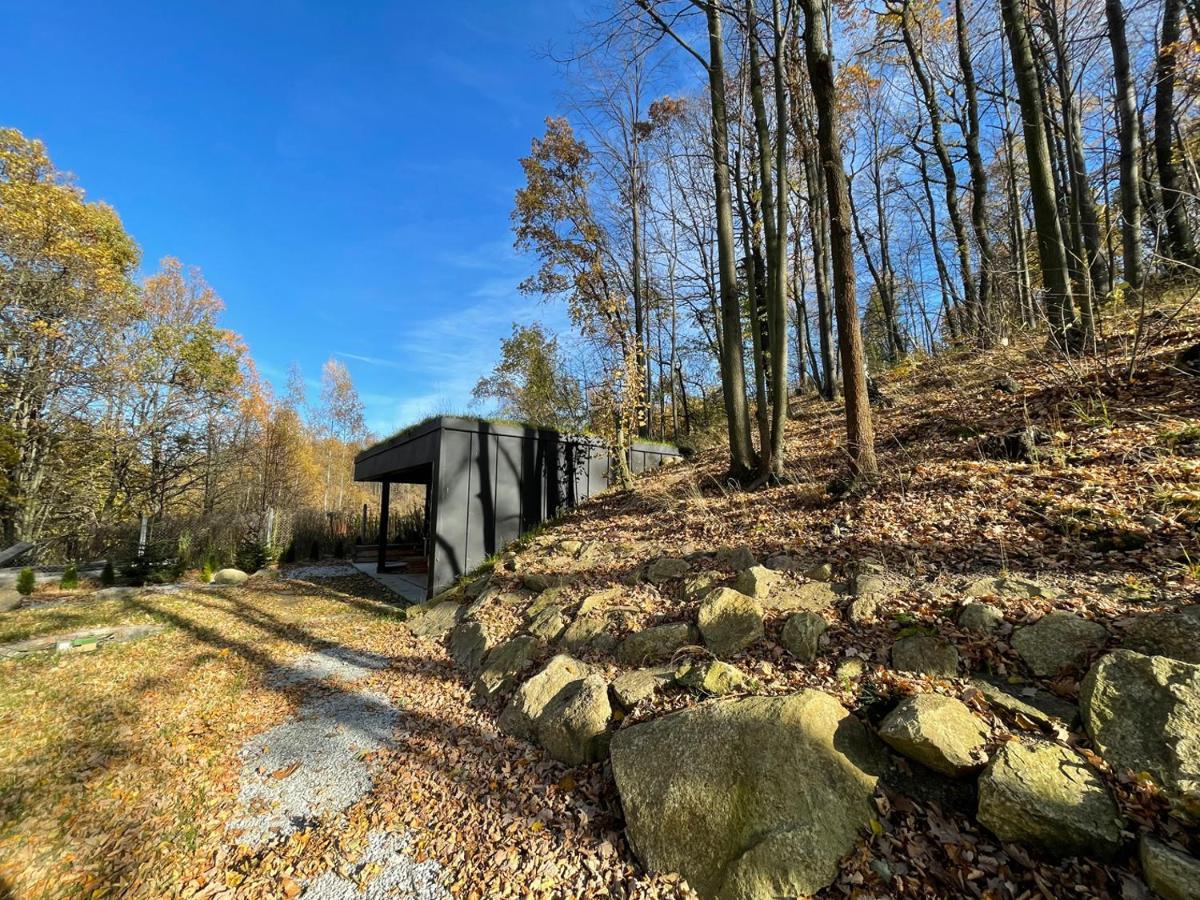 Domki Marczyce Sosnowka  Exterior photo